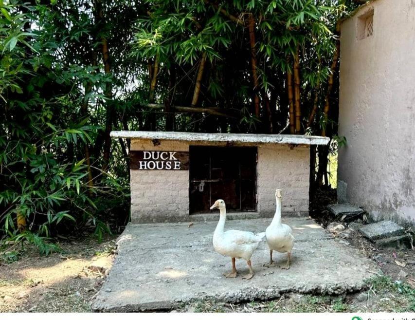 Click Resort Corbett Tiger Den Rāmnagar Exterior photo